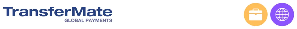 The logo of Transfermate with icons showing its role in payments infrastructure and platforms, business payments