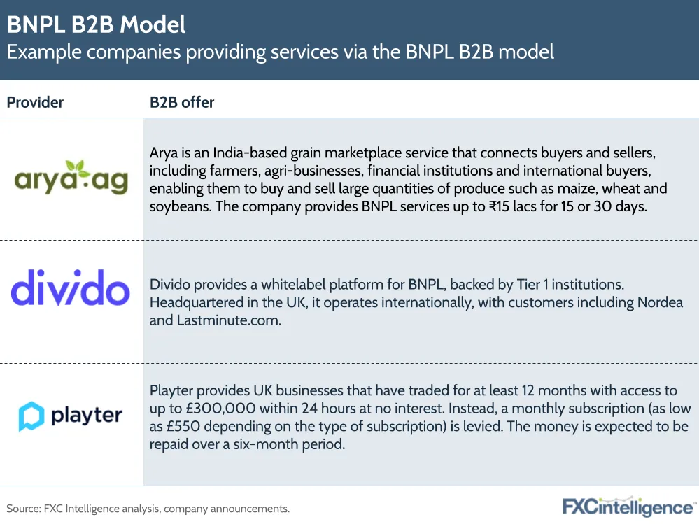 Example companies providing services via the BNPL B2B model
